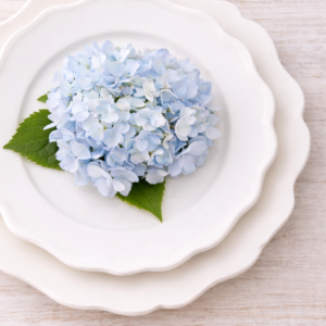 White Decorative Edge Plates