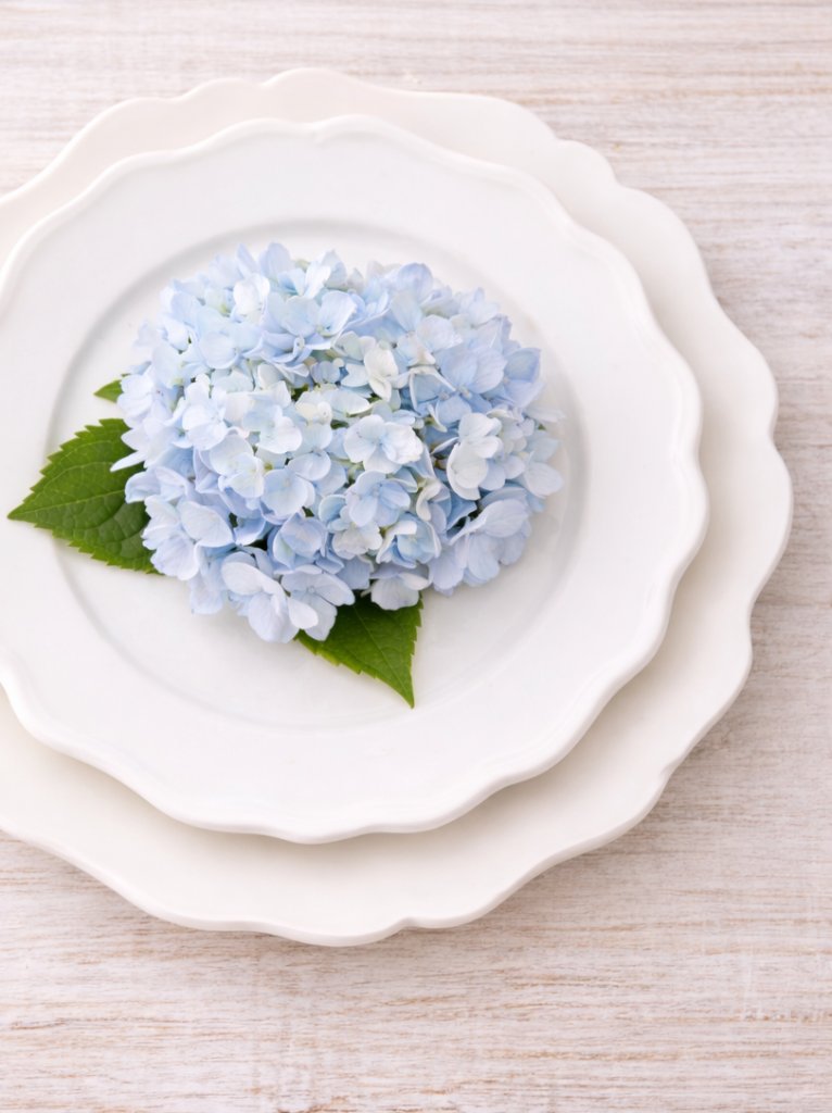 White Decorative Edge Plates