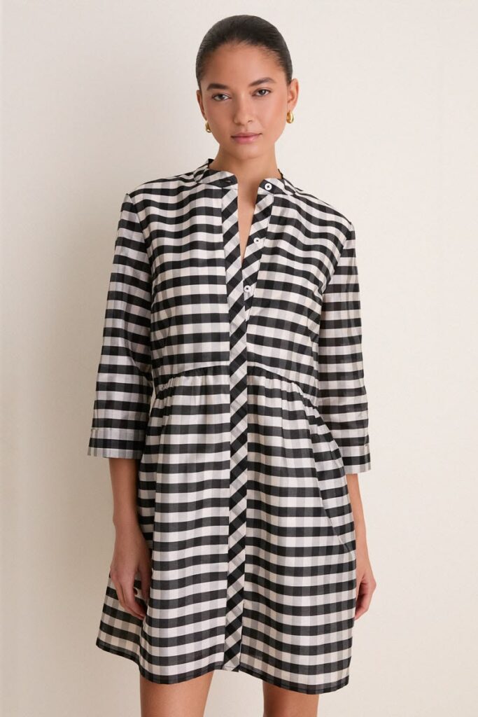 Tuckernuck Check Shirt Dress