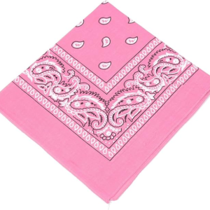Pink Paisley Bandana